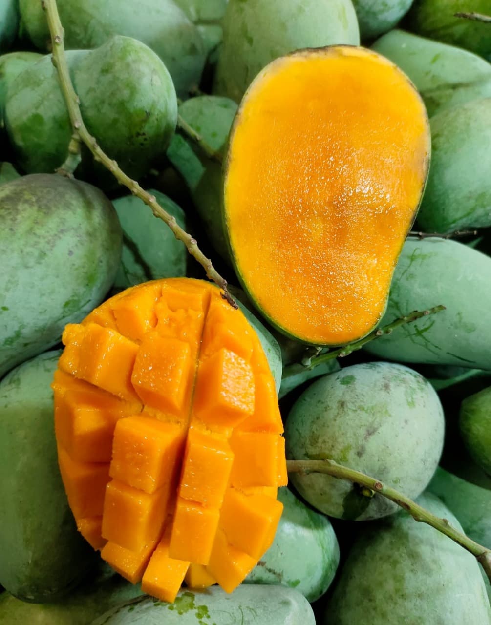Amrupali (আম্রপালি)