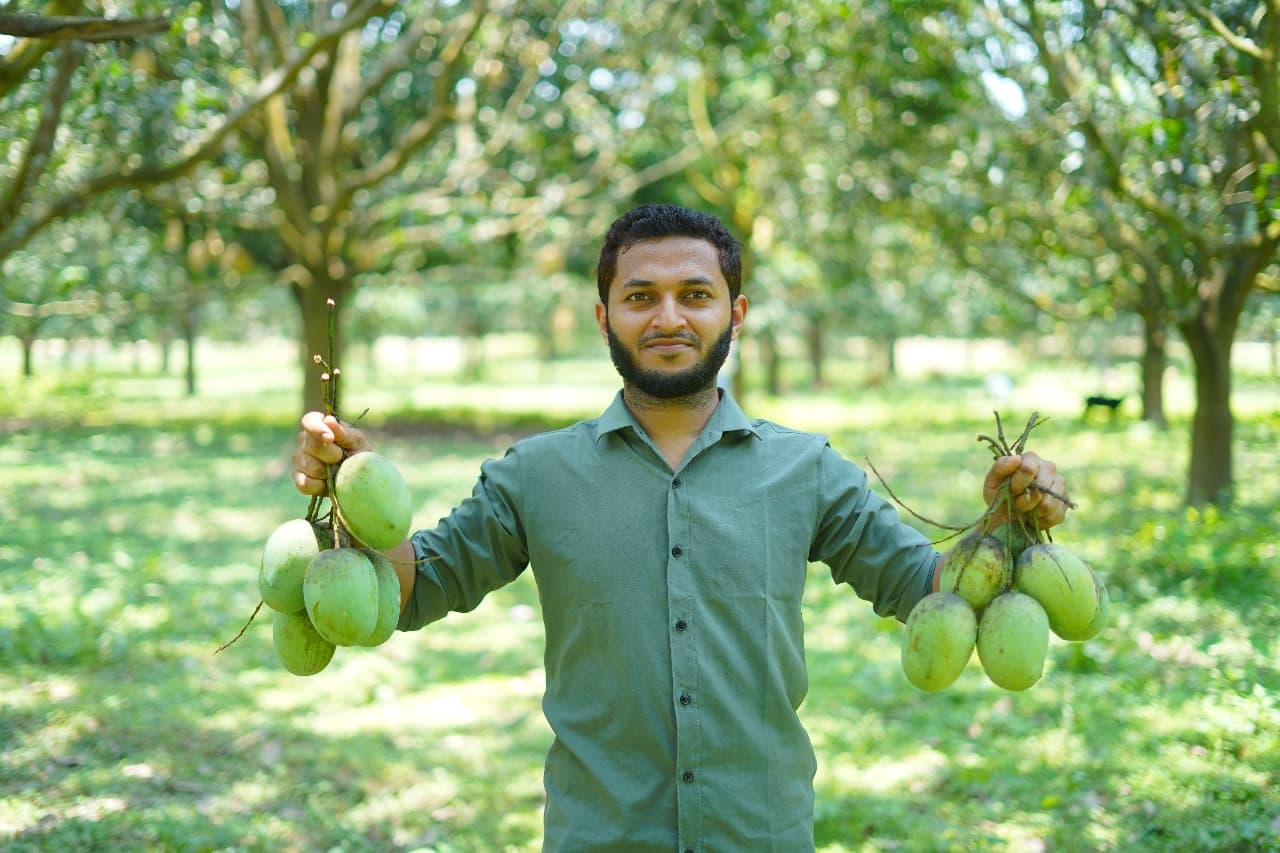 ল্যাংড়া আম