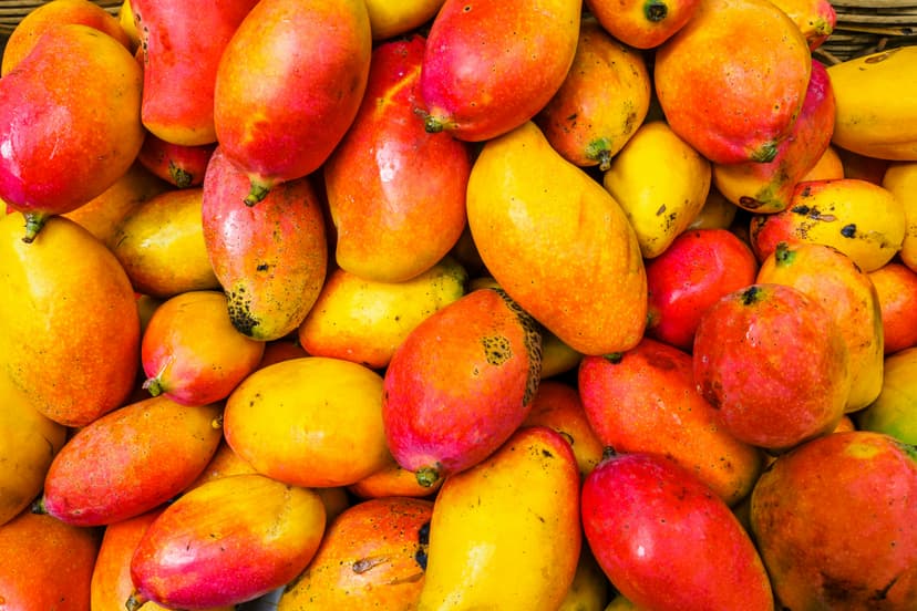 🥭 গোপালভোগ আম – বাংলার প্রিমিয়াম স্বাদ